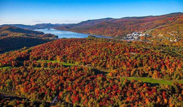 L’économie sociale dans les Laurentides en 2022