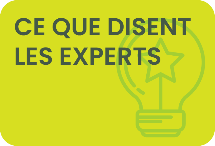 Bouton Experts ASP jaune